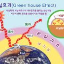 그린하우스 이펙트 티스토리