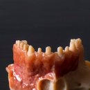메인치과기공소 네이버블로그