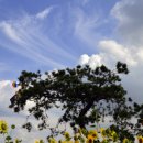 뭉개구름 이미지