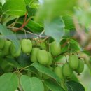 다래유통 이미지