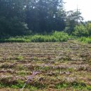 호연농장 이미지