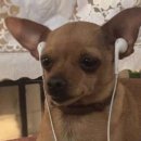 마구잡이횟집 이미지