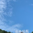 매일상회 이미지