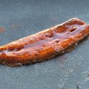 와하하게스트하우스 이미지