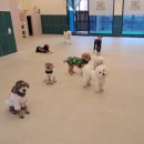 맡겨보개 이미지