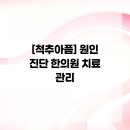 세종시365으랏차한의원 | [척추아픔] 원인 진단 한의원 치료 관리