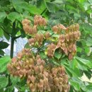 우리조경 이미지