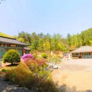 청풍김씨 열녀비 이미지