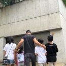 경희대 초은 태권도장 이미지