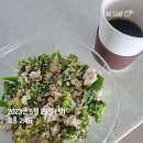 바디플래너 이미지