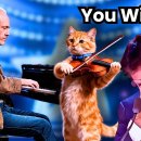 Homeless Man and His Cat Play piano/Violin Duet 이미지