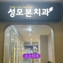 성모본치과 이미지