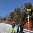 최정후 카카오 검색결과