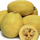 정보농장 이미지