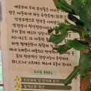 약초산방 - 정선군 스무길 195 | 20260515_ 🌿 [순천 가볼만한곳] 5월의 초록 가득한 '가천산방'에서 힐링 족욕하고 온 솔직 후기! ✨