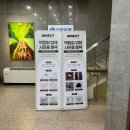 비비드순 | 다이렉트 웨딩박람회 드레스(브라이드영, 비비드블랑)계약 후기