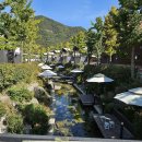 글램핑판 이미지