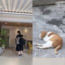 모네의 여름 이미지