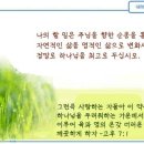 일일예화말씀묵상 2022년 12월 12일 (월) - 자신감 이미지