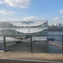 뚝섬한강공원-54 이미지