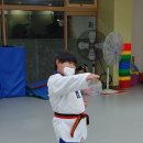 쌍용키즈태권도 이미지