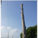 교현리마을회관 이미지