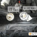 카맨삽 이미지