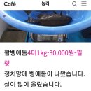 화전수산