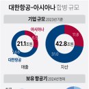 대한항공-아시아니 합병 규모 및 기업결합 심사승인 진행상황 이미지