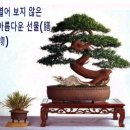 아름다운 선물 이미지