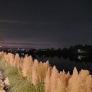 세광상회 - 삼척시 새천년도로 65 | 세광상회