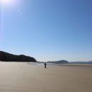 장삼포해수욕장 이미지