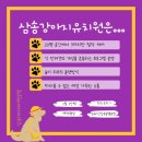 삼송데이케어 펫호텔 이미지