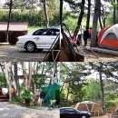 솔바다캠핑장 이미지