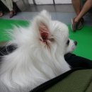 까꿍이 하우스 이미지