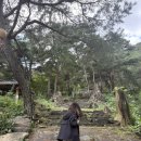 굴림동화 | 구미천생산천생사/금오랜드자연생태체험관