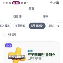 셀럽챔프 투표하는 날 이미지