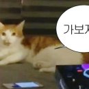 영국베이커리 이미지