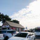 용담로2(북) | 제주 렌트카 내돈내산 후기 만족했던 제주속으로 렌트카