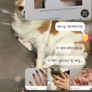 청주 신상 네일샵/ 용담동 &lt;에이빈뷰티&gt; 내돈내산 네일후기