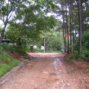 (주)교차로신문사 | 우중산행