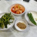 강남역 국밥 맛집 김명자굴국밥 내돈내산 솔직후기 추천