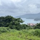 키즈풀빌라미스터준 이미지