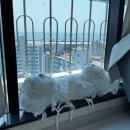 울산 동구 피부관리 잘 하는곳 M뷰티, 울산에스테틱 추천