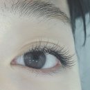 빛나다손