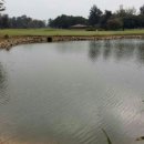 (주)태무 이미지