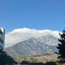 나인프라자 | [강원도/횡성] 횡성축협 한우프라자 본점. 투뿔나인 한우를 곁들인... +고성 소노벨 델피노 리조트