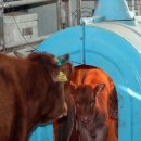 송아목장 이미지