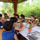 녹전초등학교병설유치원 이미지