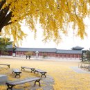 초등역사교실 이미지